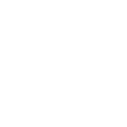 Bizgo