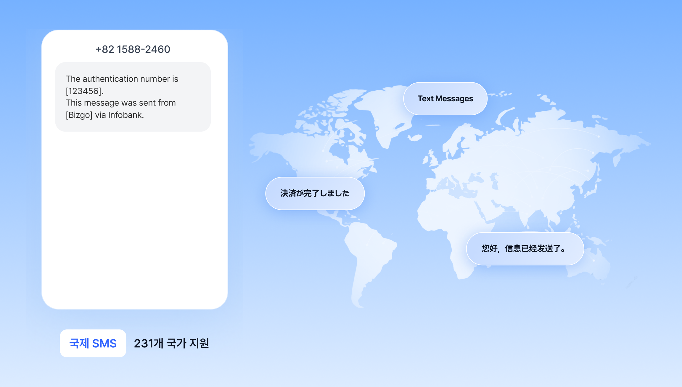 국제메시지 개요